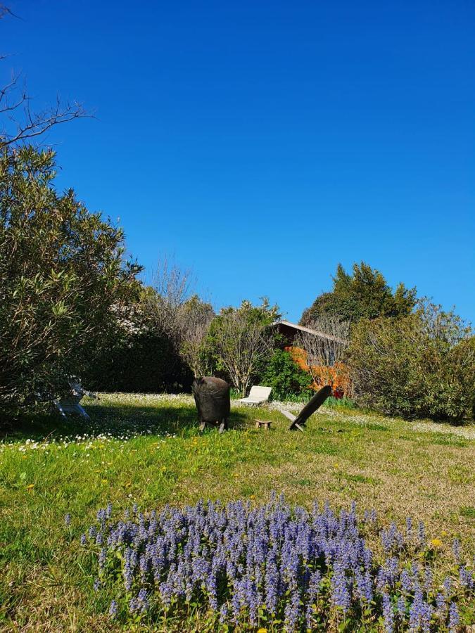 La Cabane Du Pesquier En Provence Caumont-sur-Durance Exteriör bild