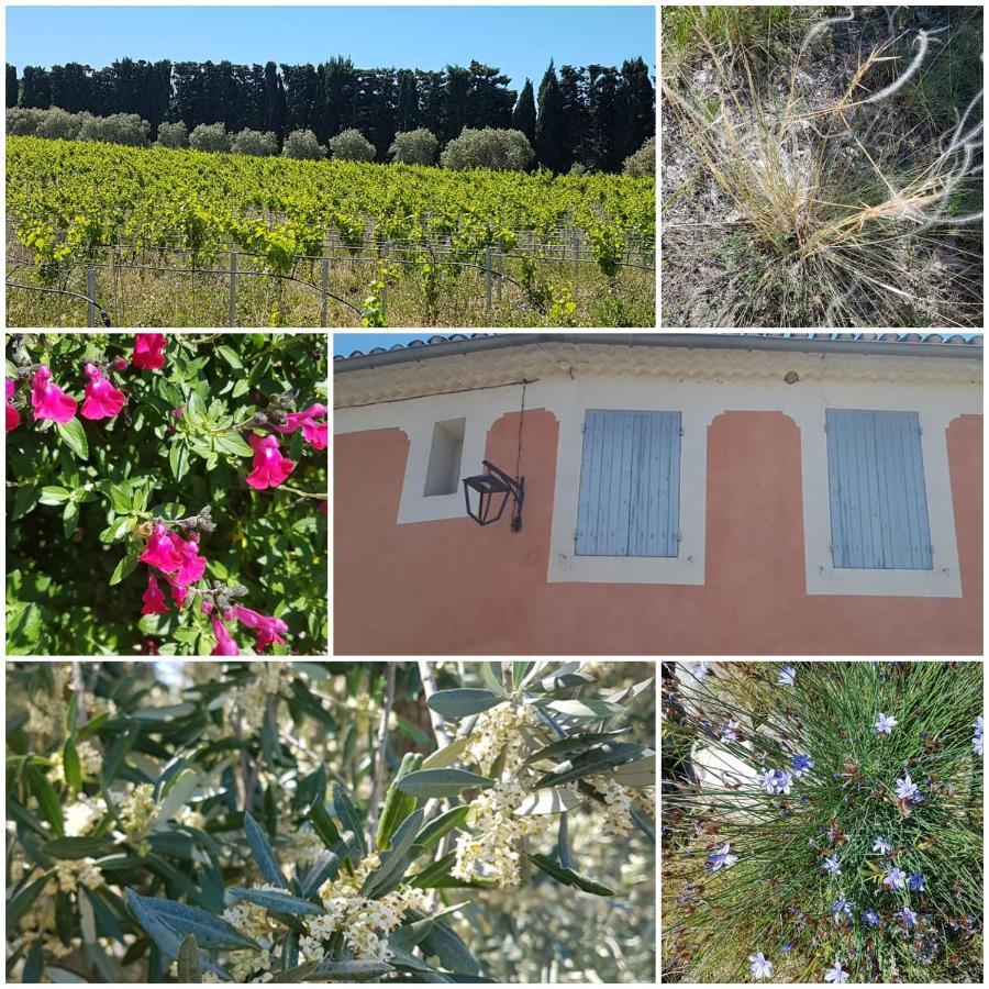 La Cabane Du Pesquier En Provence Caumont-sur-Durance Exteriör bild